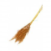 Şoklanmış Pampas 10lu Büyük Demet 100 cm(Karamel Turuncu) - 2