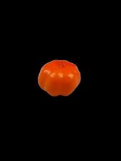 CADILAR BAYRAMI HALLOWEEN BALKABAĞI MİNİK SÜS 2,5CM X 3,5CM - 1