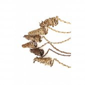Tropic Kuru Çiçek 6lı Tail Cone - 2