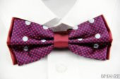 Brianze Noktalı Lacivert Bordo Papyon DP-11 - 1