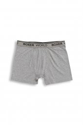3lü Erkek  Likralı Boxer 14100-B3 - 5