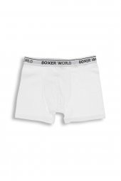 3lü Erkek  Likralı Boxer 14100-B3 - 7