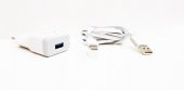 Samsung Galaxy S10+ Uyumlu USB Type-C Ev Şarj Aleti - 2