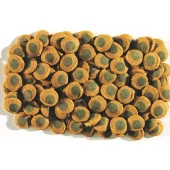 Tetra Pleco Spirulina Wafers Algae 250 GR Kovadan Bölme Anadolu Pet Ürünüdür   Skt: 07/2026 - 2