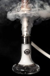 MR EDS E23 SMALL KING - 8