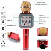 Wster Ws-1818 Metal Karaoke Mi̇krofon Bluetoth Fm Sd Kart Usb Aux - 1