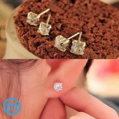 Nokta Taşlı Saplamalı Kadın Küpe - 1