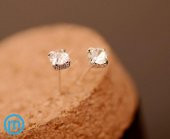 Nokta Taşlı Saplamalı Kadın Küpe - 2