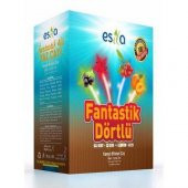 Esila Fnatastik Dörtlü Yaz Çayı 45 Süzen Poşet - 1