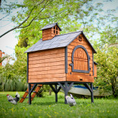 Mandu Ahşap Tavuk Kümesi (Maks.16 Tavuk) - 2