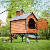 Mandu Ahşap Tavuk Kümesi (Maks.16 Tavuk) - 4