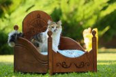 MANDU AHŞAP LÜKS KEDİ YATAĞI - 1