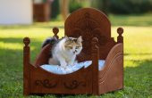 MANDU AHŞAP LÜKS KEDİ YATAĞI - 2