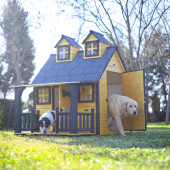 MANDU Ultra Lüks Ahşap Köpek Kulübesi (evi) GOLD EDİTİON - 1