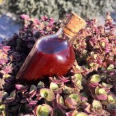 Kantaron Yağı (Kırmızı Kantaron Çiçeğinden) - 100ml - 1