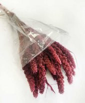 Çiçek Doğal Steria Boncuk Pembe (100 Gram) 1 Demet Fiyatıdır - 1