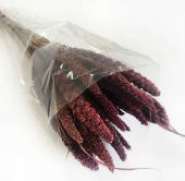 Çiçek Doğal Steria Boncuk Mor (100 Gram) 1 Demet Fiyatıdır - 1