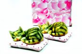 Pologift Polyester Dekoratif İkili Minderde Uyuyan Kedi Obje thumbnail 4