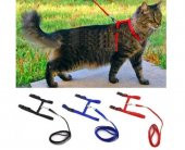 Ayarlanabilir Kedi Tasması 120 cm (4 Renk) - 3