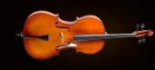 VALENCIA CE400F12 CELLO KILIFLI+YAY+REÇİNE, 1/2 SCALE, FRENCH STYLE, Cello Kılıflı+Yay+Reçine 1/2 French Style:  - 1