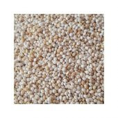 Muhabbet Kuşu Yemi Ak Darı (Beyaz Darı) 2,5 kg - 1
