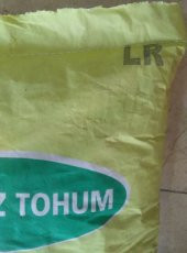 Hibrit Mısır Tohumu ADA 9516 Sertifikalı Tohum 50000 Adet - 4