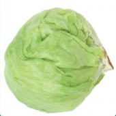 MARUL Tohumu ICEBERG 3 gram - 1
