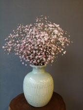 Kuru Çiçek 1.Kalite Şoklanmış Dökülmeyen Toz Pembe Cipso Demeti - 1