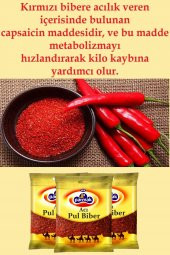 Acı Pul Biber (iridiş) 250 gr - 3