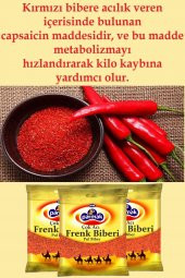 Zehir Acı Pul Biber (Frenk) 500 gr - 3