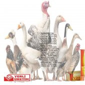 Vittav 100 Gr Kanatlı Hayvanlar için Vitamin ve Mineral Takviyesi - 2
