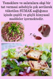 Sumak Öğütülmüş 500 gr - 2