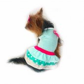 Su Yeşili Köpek Elbisesi Köpek Kıyafeti - 1