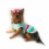 Su Yeşili Köpek Elbisesi Köpek Kıyafeti - 3