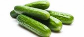 SALATALIK 5 KİLO TOPLAM FİYAT - 1
