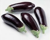 PATLICAN  5  KİLO - 1