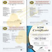 OZON Hijyenik Sıvı El Yıkama Sabunu 5L, Gliserinli, Yeni Formül - 10