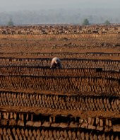 Cocopeat Hindistan Cevizi Kabuğu Kokopit Blok 5-6 Kg 65-80 Lt - 2