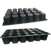 24 GÖZ FİDE VİYOLU FİDELİK VİYOL 10 ADET HIZLI VE ÜCRETSİZ KARGO - 3