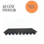 45 Gözlü Fide Ekim Viyolü 10 Adet - 3