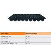 45 Gözlü Fide Ekim Viyolü 10 Adet - 4