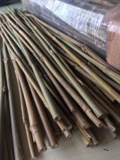 Bambu Destek Çubuğu 75 cm x 6-8 mm 50 Adet - 6