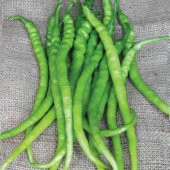 BİBER Tohumu Yerli Acı Kıl 5 gram - 1