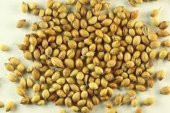 KİŞNİŞ 250GR - 1