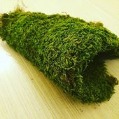 30x20cm Doğal Yosun Çim Kaya Yosunu Gerçek Bitki Solmaz Bozulmaz Teraryum - 1