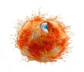 6202 Crazy Ball Çılgın Kirpi Top 6 cm Turuncu - 5