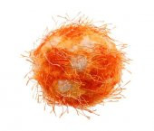 6202 Crazy Ball Çılgın Kirpi Top 6 cm Turuncu - 6
