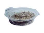 Çim Tohumu 4-5 Gram - 2