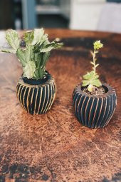 2li 3D Motifli Beton Saksılı Sukulent - 1