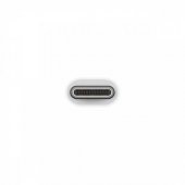 Samsung Galaxy S10 Uym Type-C USB Flash Bellek Okuyucu Adaptör, USB-C TO- USB Dönüştürücü - 2